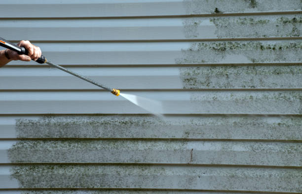 Best Solar Panel Cleaning  in Trinity, FL